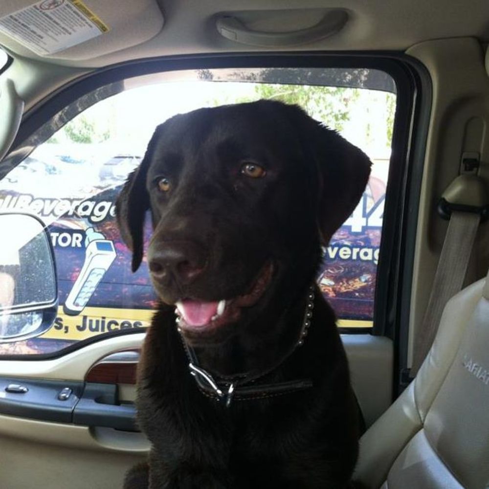 Meet your Posher, Ruger